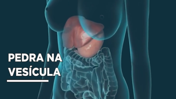 Quer Saber sobre Vesícula?