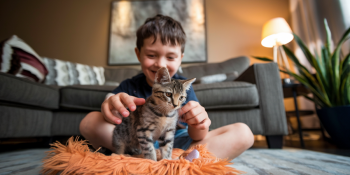Gatos e Esquizofrenia: Qual a Conexão?