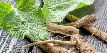 Reduza a Glicemia Naturalmente com Chá de Bardana