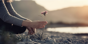 Superando o Trauma – O Caminho Para a Resiliência Emocional