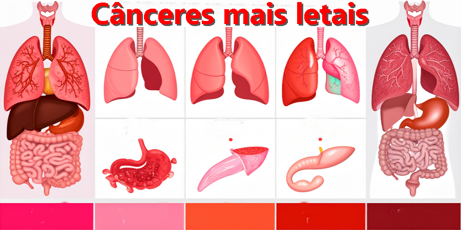 Ilustração Cortesia Editorial Ideia