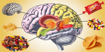 Seu Cérebro Está Te Engordando? Novo Estudo Revela o Impacto da Alimentação na Estrutura Neural