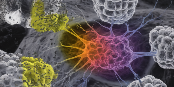 Imuno-histoquímica: O Exame que Revela a Verdadeira Identidade de um Tumor