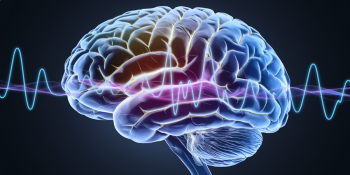 Ciência e Mistério: Atividade Cerebral Estranha Após a Morte Intriga Pesquisadores