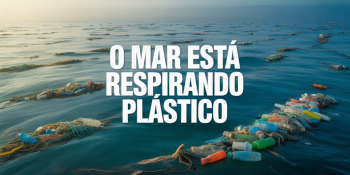 O Mar de Plástico: 170 Trilhões de Fragmentos à Deriva