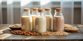 Leites Vegetais: Como Fazer, Benefícios e Por Que Evitar o Leite Animal