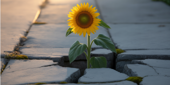 Entendendo a Resiliência: Como Superar Adversidades e Crescer com Elas