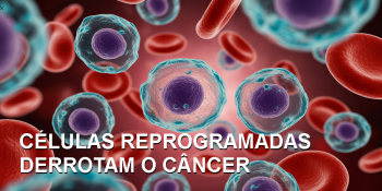 Cientistas eliminam completamente a leucemia em ensaio pré-clínico