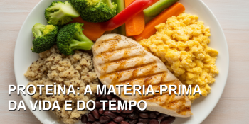 Proteínas: por que elas são vitais e onde encontrá-las