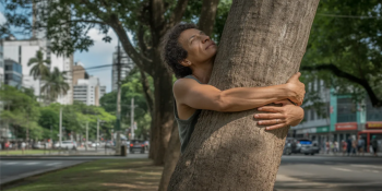 Uma árvore no lugar do psicólogo: nova tendência na China conquista os jovens
