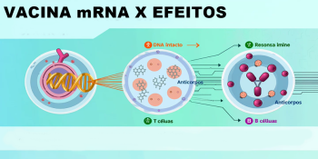 Vacinas de mRNA: O que a ciência revela após bilhões de doses aplicadas no mundo