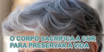 Cabelos Grisalhos Podem Ser um Escudo Natural Contra o Câncer, Revela Estudo