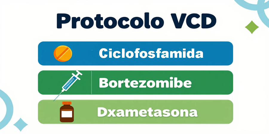 Protocolo VCD combina três medicamentos para combater o mieloma múltiplo. Saiba como funciona cada um.
