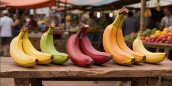 A banana que você come pode estar sabotando (ou turbinando) sua saúde: o guia definitivo para escolher a variedade certa